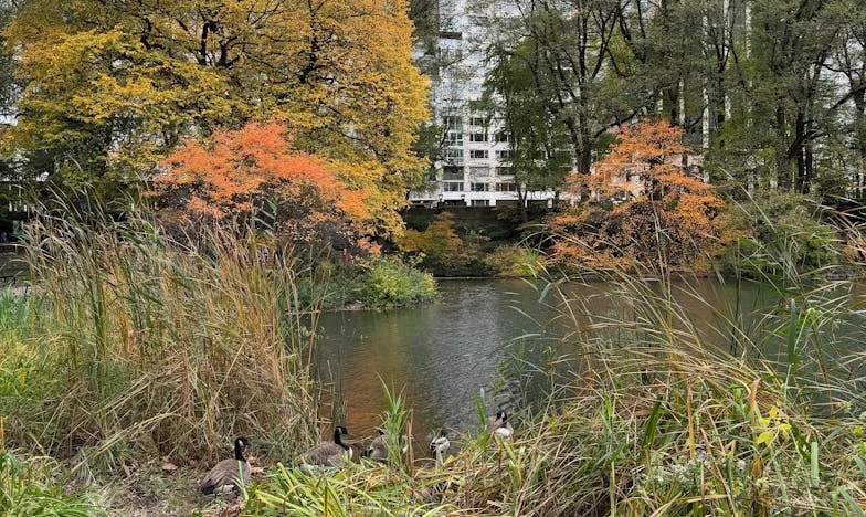 Desáté dítě: Pod jednou střechou, pod stejnými sny