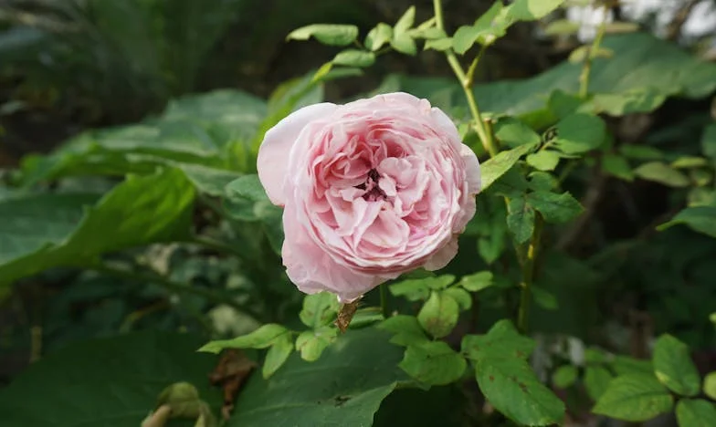 Dům, který nikdo nechtěl – dokud nešlo o dědictví