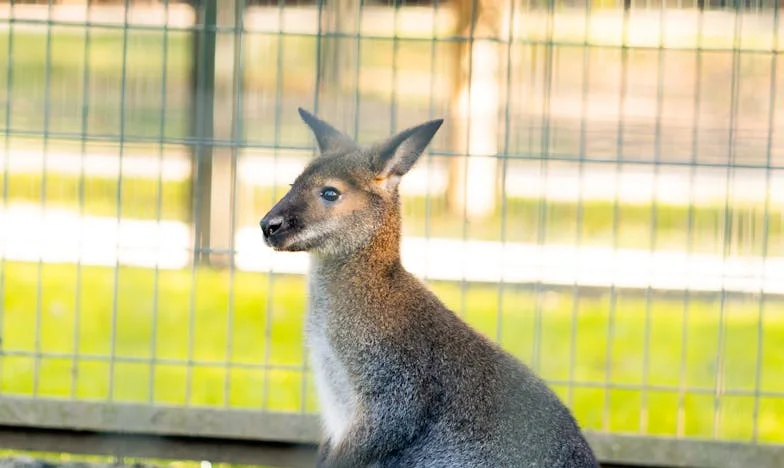 Jak jsem v modlitbě hledala sílu přežít manželství, které mě ničilo: Můj příběh o víře, oběti a novém začátku