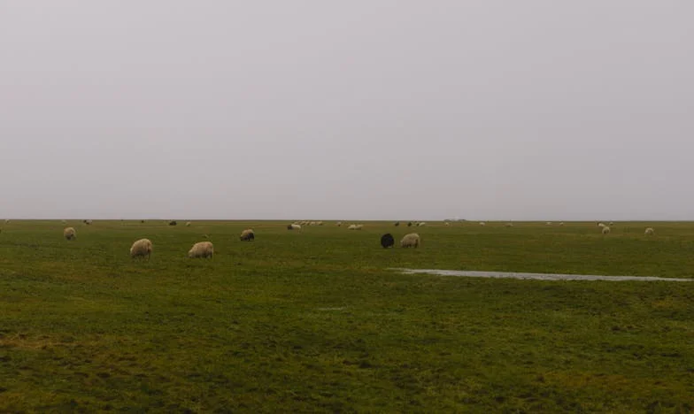 Kartka bez podpisu: Návrat minulosti do malého bytu v Nuslích