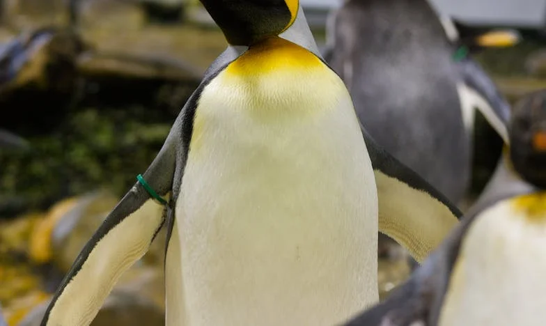 Když mateřství bolí: Vyprávění Jany z Ostravy