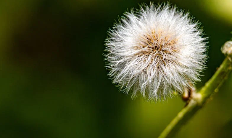 Když mi dcera svěřila svého syna: Tajemství, která změnila naši rodinu