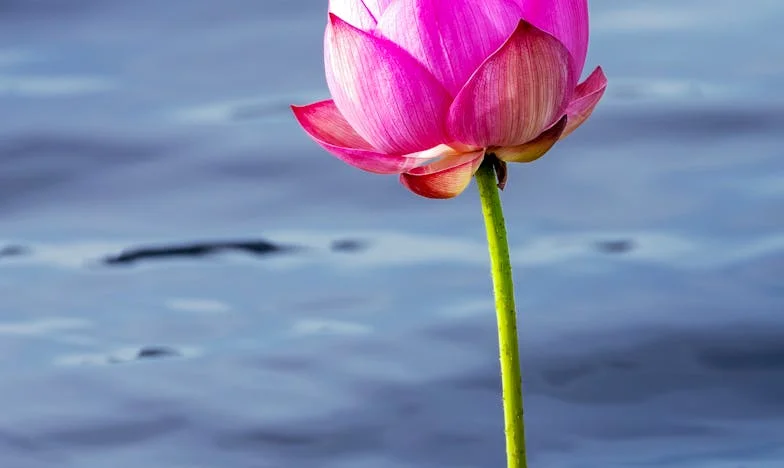 Když podzim života přinese jaro: Mé nečekané mateřství ve 47 letech