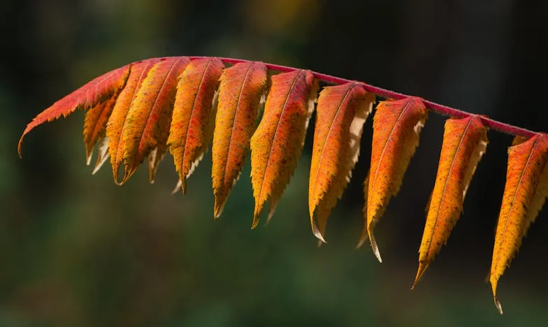 Když rodina žádá víc, než můžeš dát: Příběh o hranicích a srdci