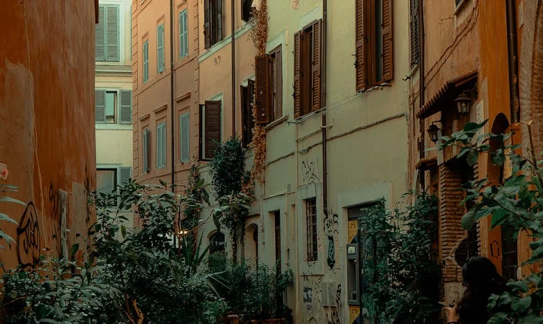 Když se kmotři stali nepřáteli: Příběh jedné svatby a dvou rodin