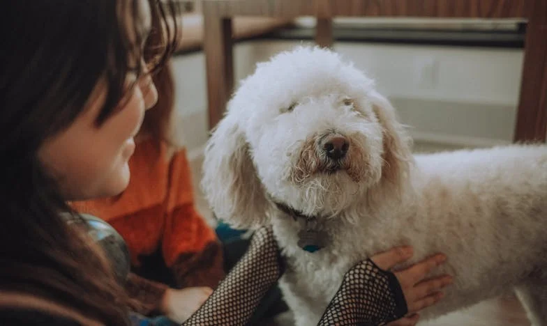 Když se máma nastěhovala: Nový začátek, nebo konec klidu?