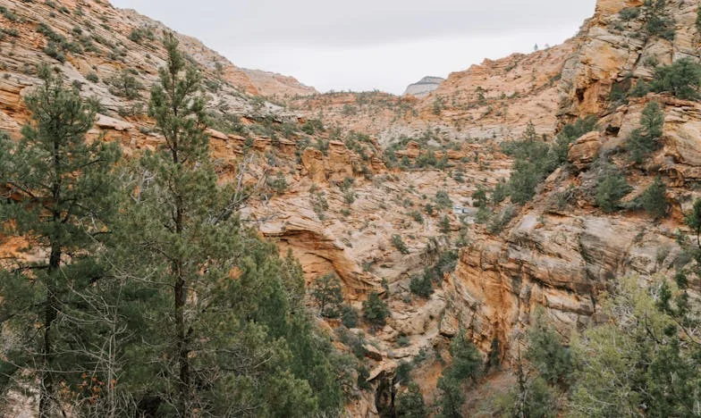 „Letos na Štědrý den nevařím!” – Pravdivý příběh jedné české rodiny