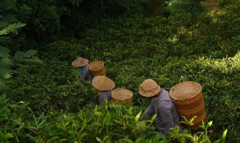 Mezi důvěrou a podezřením: Příběh jedné matky