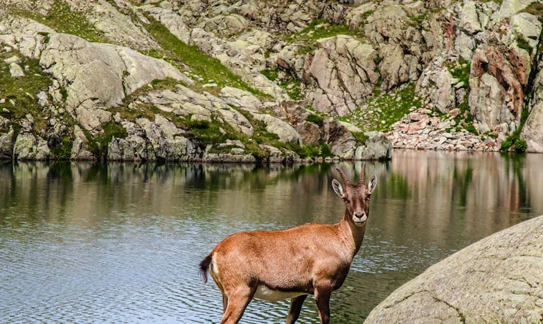 Mezi tichem a křikem: Můj život ve stínu Tomášovy kontroly