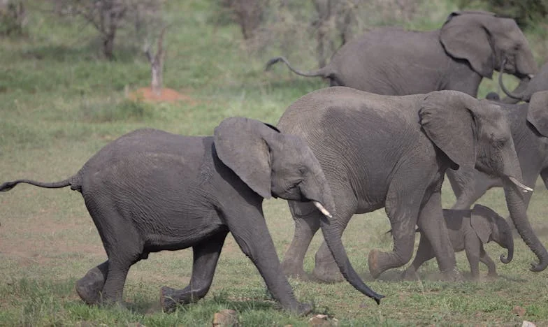 Moje dcera se za mě stydí: Příběh o lásce, pýše a hledání důstojnosti