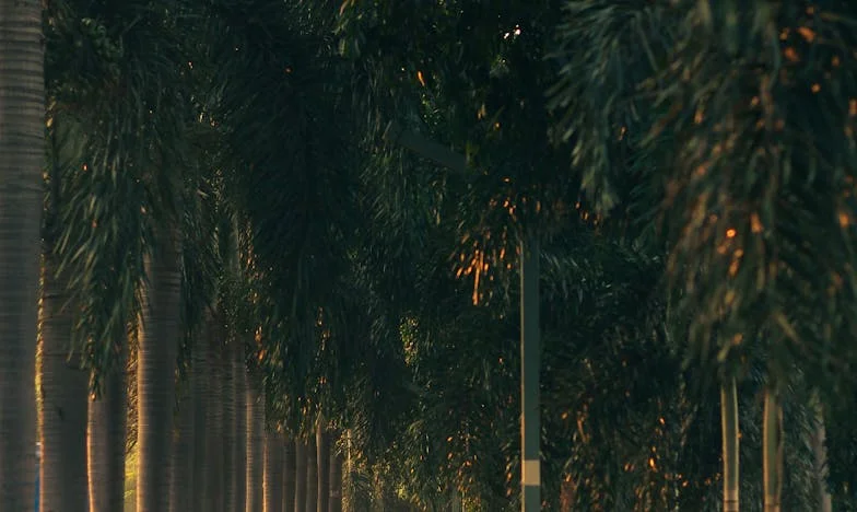 Můj syn rozbil naši rodinu — dokážu mu někdy odpustit?