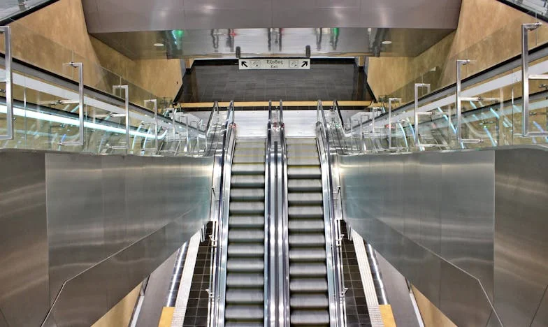 Nezvaný host z lesa u Křivoklátu – Jak jedno setkání roztrhalo mou rodinu