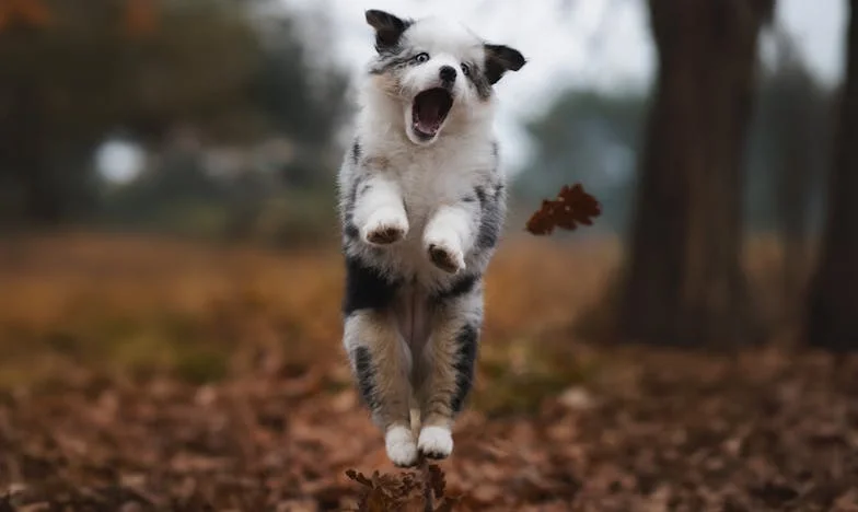 Pod hladným povrchem: Příběh Jany a stínů manželství