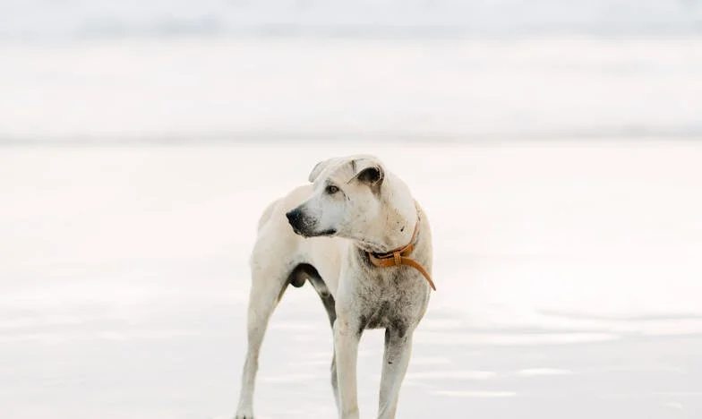 Proč jsem pro mámu méně důležitá než moje sestra?