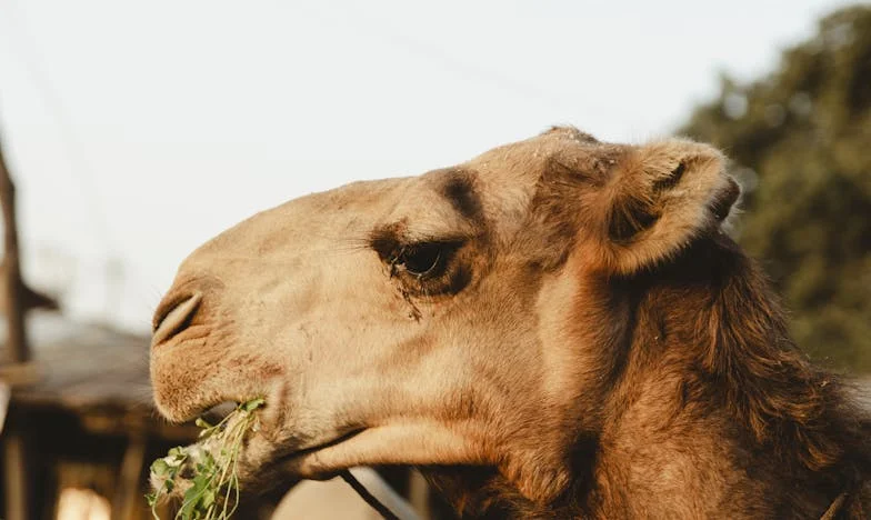 „Proč jsi byla v našem bytě, když jsme tam nebyli?” – Příběh o ztracené důvěře v české rodině
