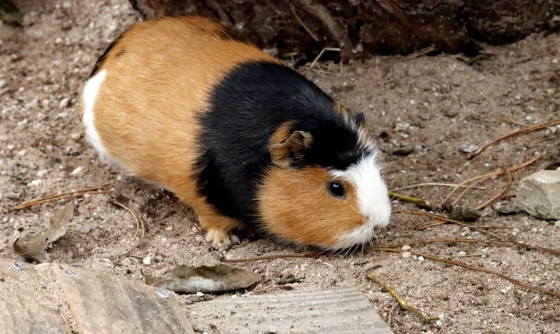 Prodala jsem byt, abych pomohla synovi, ale ztratila jsem sama sebe: Příběh o oběti, nedorozuměních a novém začátku