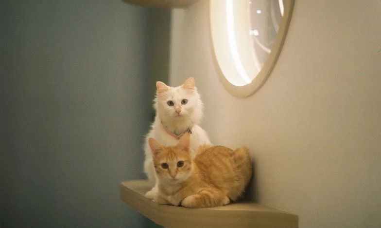 Sklízíš, co zaseješ: Poslední hádka, která změnila můj život