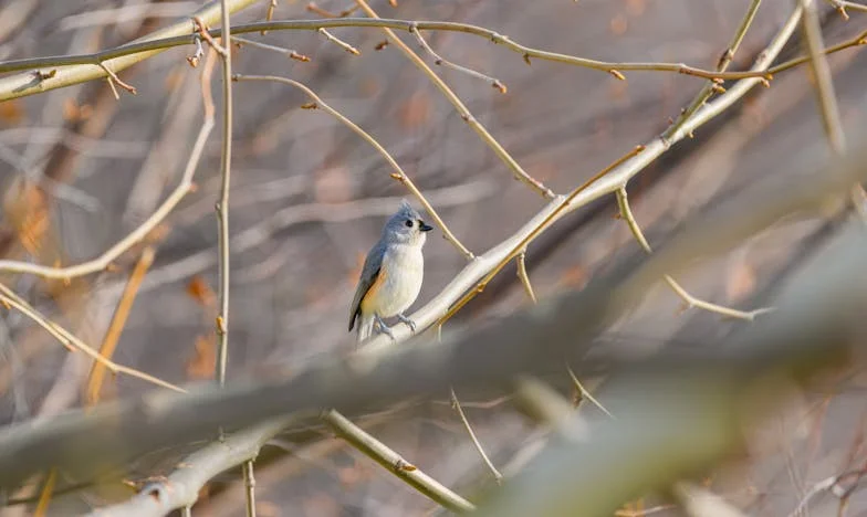 Stavím tchýni dům – ale kdo staví ten můj?