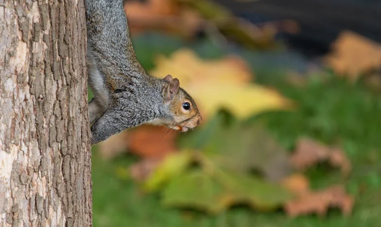 Svatební řeč, která změnila všechno: Proč zůstaly naše stoly prázdné?