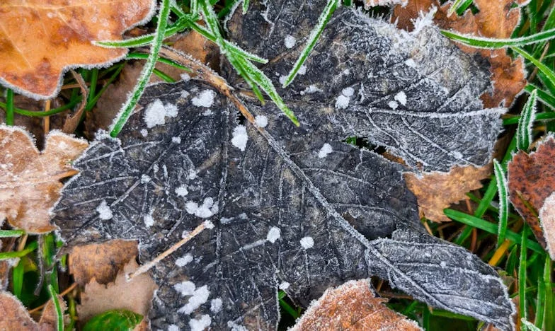 Tajemství z máminy zásuvky: Co jsem objevila po její smrti a jak to změnilo můj život