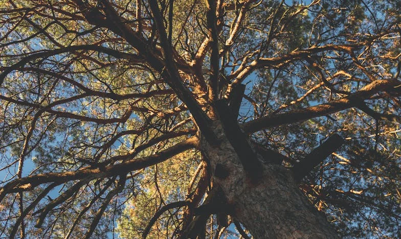 Tajný dům mé tchyně: Boj o domov a pravdu