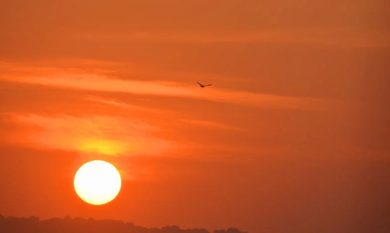 Tíha mateřské lásky: Když pomoc ubližuje