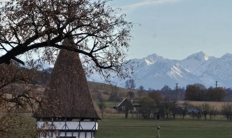 Závěť, která roztrhla mou rodinu: Když láska skrývá tajemství