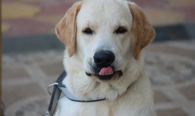 Zavřela jsem oči před jeho nevěrou – dokud jsem nespadla na ulici a nepoznala, kdo při mně opravdu stojí