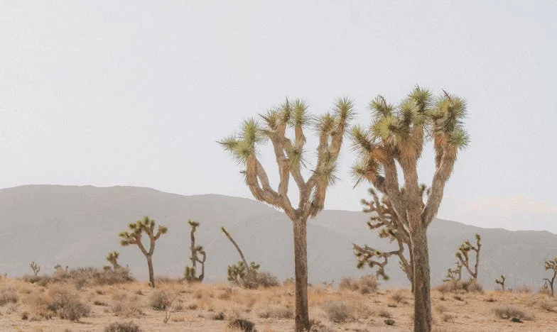 Den, kdy se všechno zhroutilo: Příběh z pražského Jižního Města