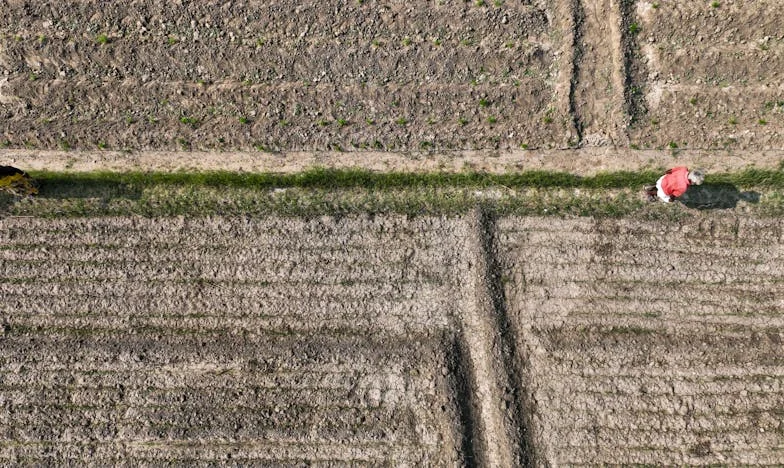 Dopis, který roztrhl naši rodinu: Když matka žádá alimenty od vlastního dítěte