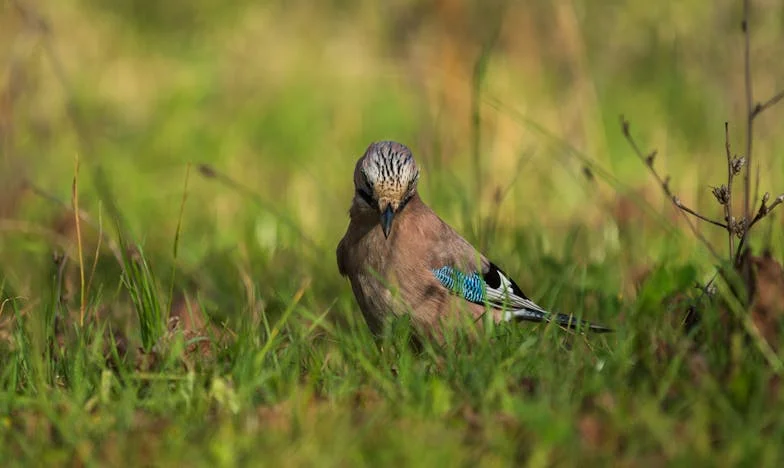 Dopis z pravé zásuvky: Tajemství, které změnilo můj život