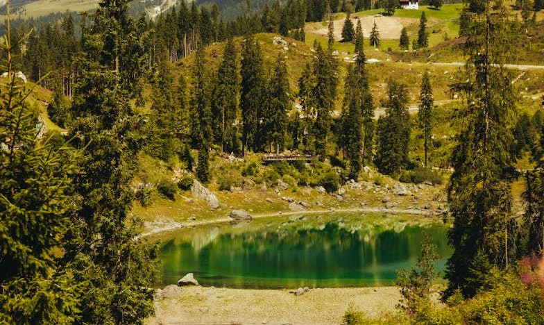 „Dost už! Chci žít svůj život“ – Vyznání ženy po 35 letech manželství