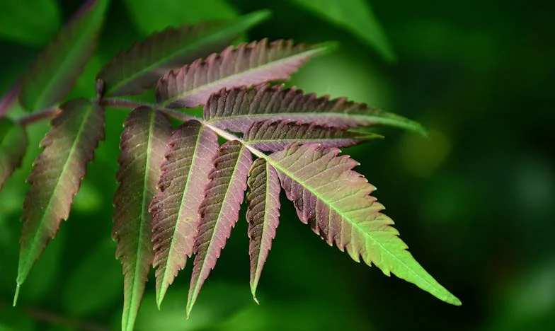 Dvě tváře, jedna pravda: Když osud zkouší matku