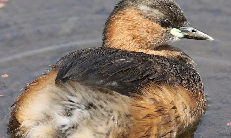 Jsem to já, kdo rozbil naši rodinu?