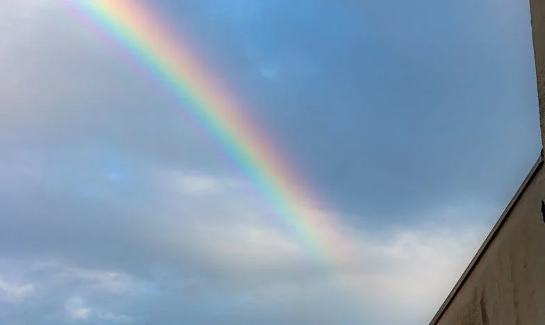 Když domov přestane být domovem: Jak rozhodnutí tchyně rozbilo naši rodinu