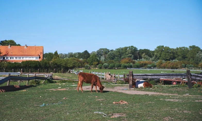 Když hosté nechtějí odejít: Velikonoce, které roztrhly naši rodinu