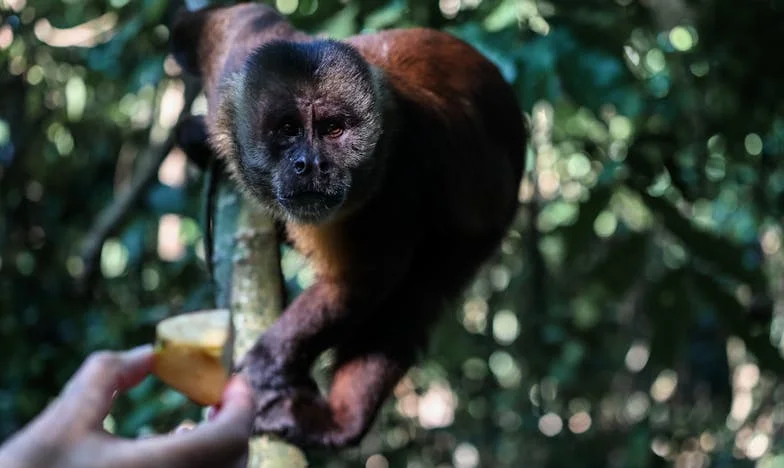 Když mi dcery mizely mezi prsty: Příběh otce po rozvodu