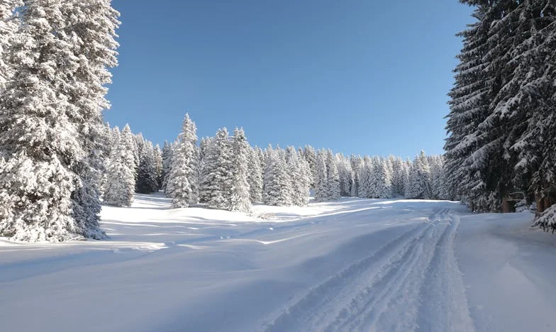 Když rodina praská ve švech: Příběh babičky z Prahy o boji za vnuka