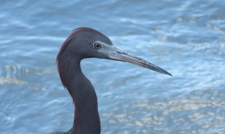 Když se moje dcera stala vdovou a její dcera nám změnila život: Po letech se role obrátily