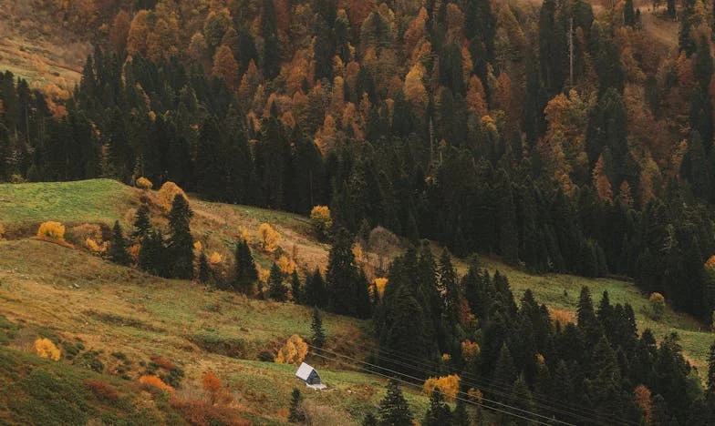 Když se svět rozpadne: Příběh o zradě, mateřství a naději