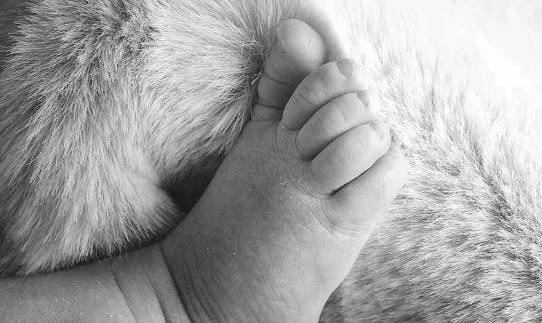 Měla jsem si toho všimnout dřív: Rozhodnutí o závěti, které rozbilo mou rodinu