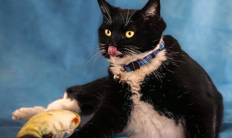 Moje výplata není důkazem lásky: Příběh ženy mezi strachem a svobodou