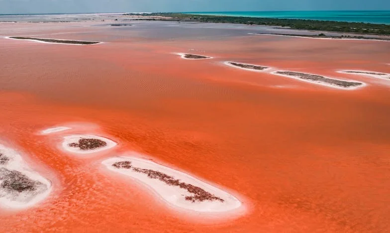 Můj muž odevzdal všechny naše peníze svému otci. Teď musím žebrat o každou korunu.