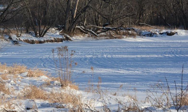 Nikdy bych mámu nedala do domova důchodců! – Teta si vzala babičku k sobě, ale za čtyři měsíce ji tam stejně poslala