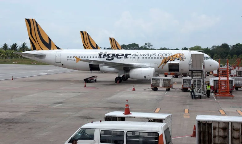 Noc, kdy mě můj syn zachránil – Přiznání o domácím násilí