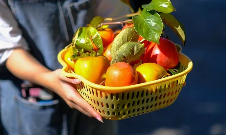 „Omlouvám se, mami. Čekal jsem někoho jiného.“ – Příběh osamělé matky Lindy, která stále doufá ve vřelost svých dětí