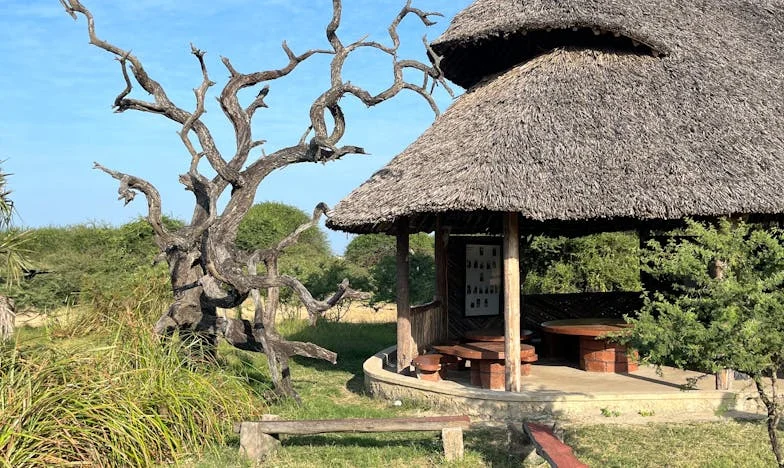 Opustila mě máma: Pravda o návratu a síle babiččiny lásky