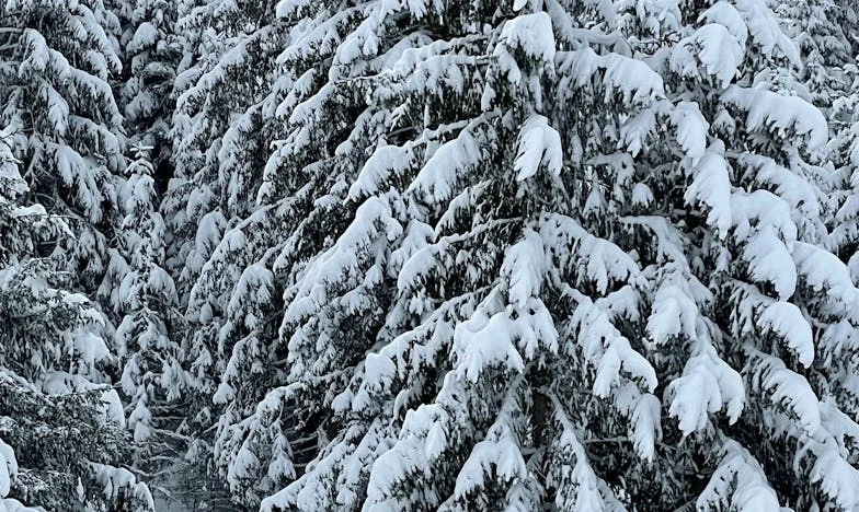 Peněženka mého muže, můj vězení: Dvanáct let v ledovém manželství
