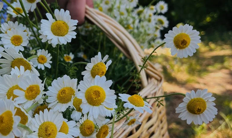 Pod jednou střechou: Když je rodičovství těžší, než jsem čekala