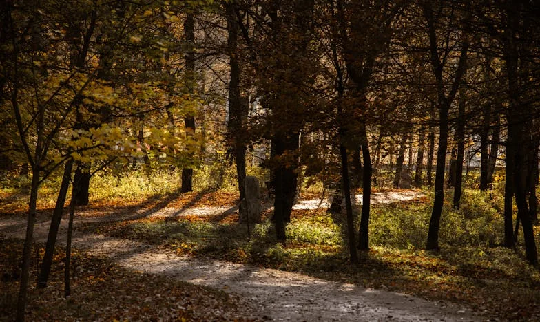 Pod vládou mé tchyně: Život v jejím stínu